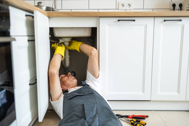 Best Plumbing Inspection Services  in Weaverville, CA
